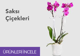 Öneçıkan Ürün